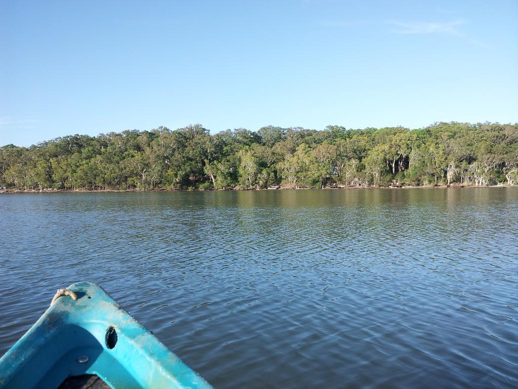 נוסוויל Eumarella Shores Noosa Lake Retreat מראה חיצוני תמונה